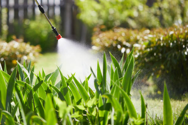 24/7 Emergency Termite Control experts in Port Hueneme, CA