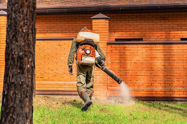 Trusted Ant Control service in Port Hueneme, CA - Nex Pest Control